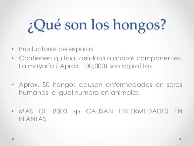 de de estructuras plantas las asexual reproduccion Hongos de de estructuras plantas las asexual reproduccion Hongos